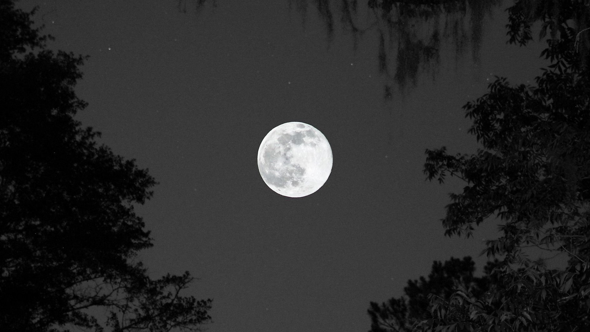 En mayo habrá 2 Lunas llenas: día por día, todo lo que tenés que saber del calendario lunar del mes