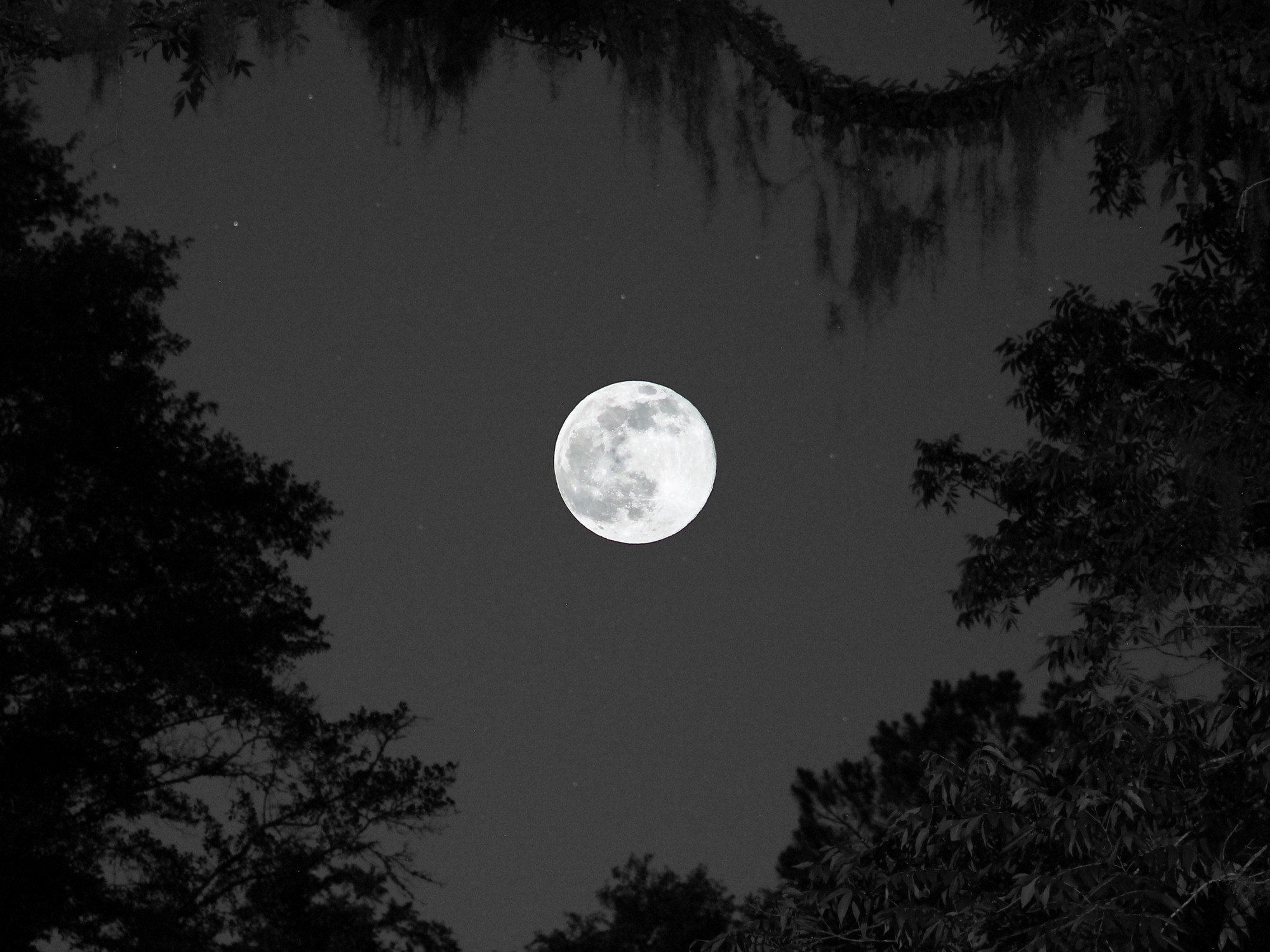 En mayo habrá 2 Lunas llenas: día por día, todo lo que tenés que saber del calendario lunar del mes