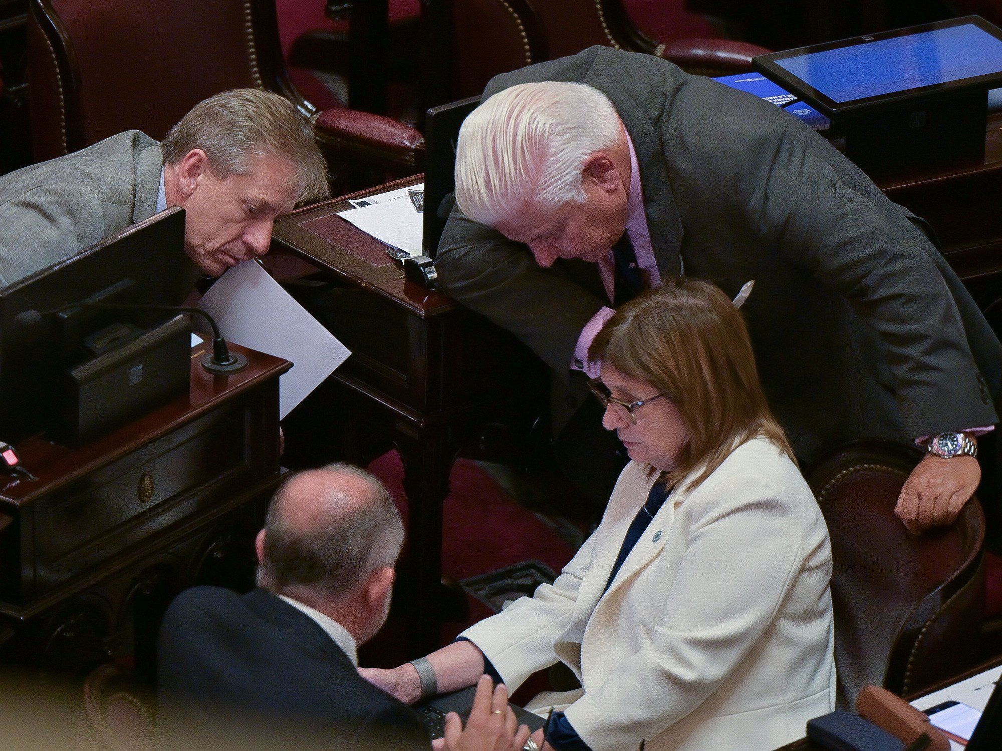 La UCR del Senado pide modificar las PASO en vez de eliminarlas y complica la reforma electoral del oficialismo