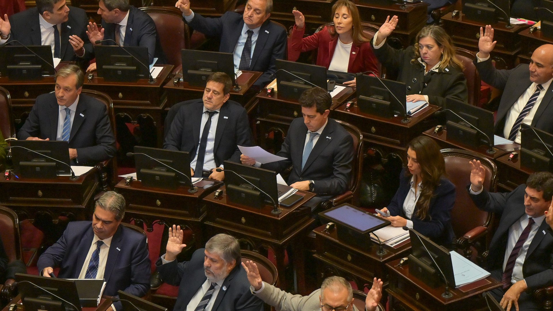 Senado: el peronismo se mete en la pelea por el pliego de la jueza que quiere bajar Milei
