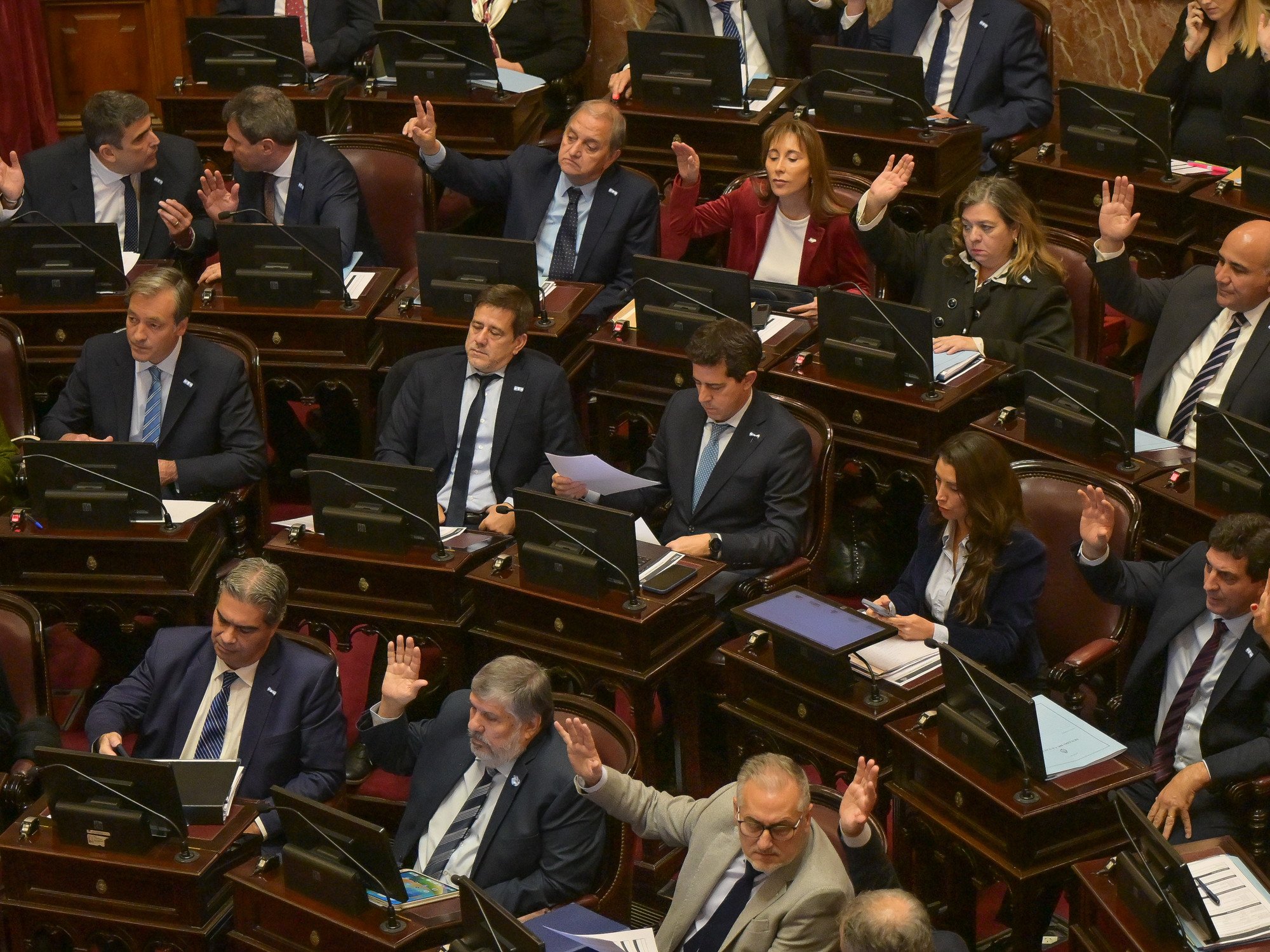 Senado: el peronismo se mete en la pelea por el pliego de la jueza que quiere bajar Milei