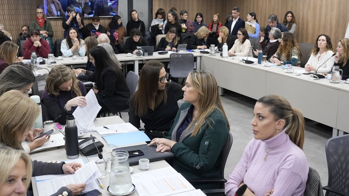 Sorpresa en Diputados: la oposición consiguió respaldo para una ley de emergencia por violencia de género