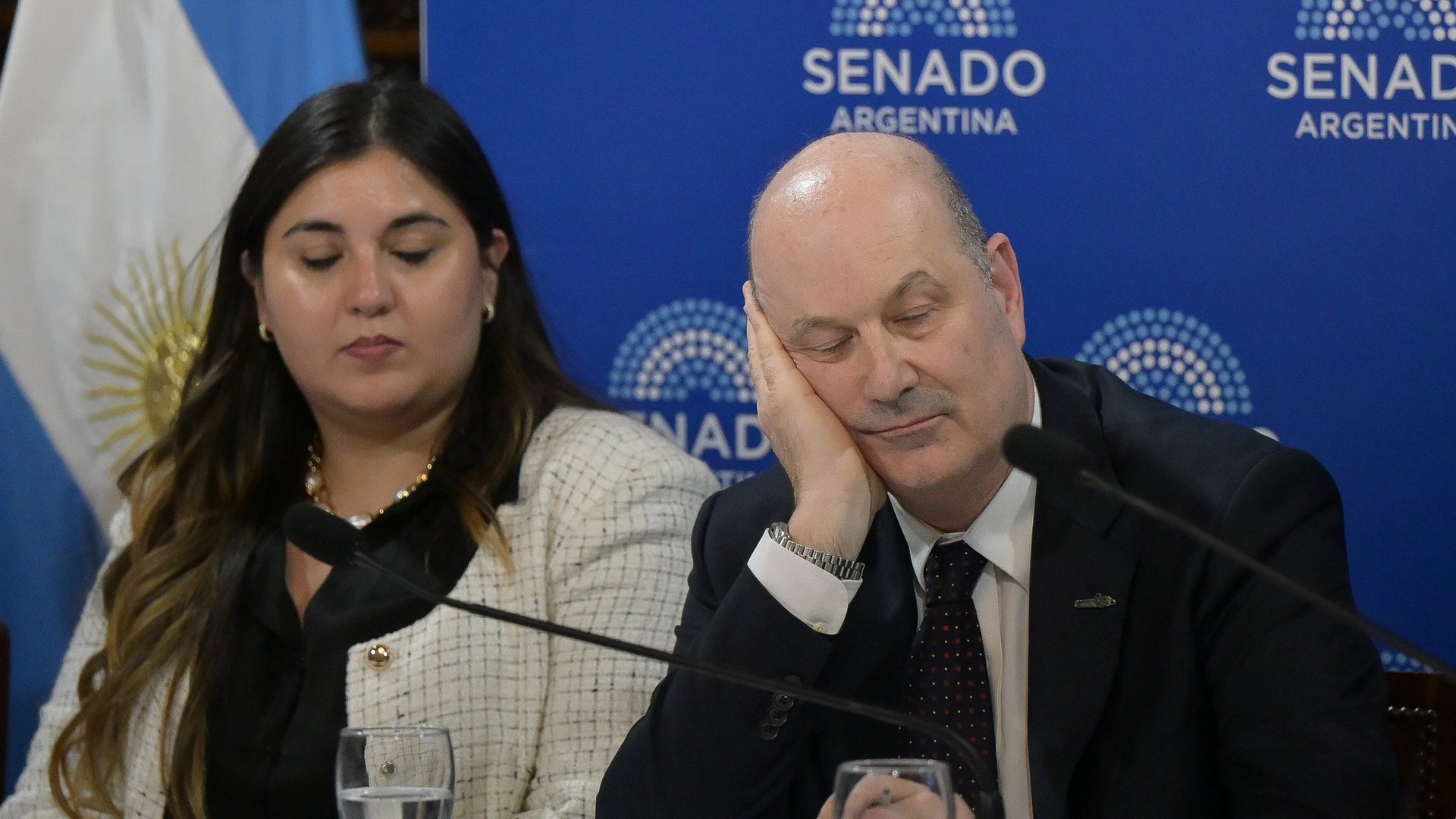 Sturzenegger defendió en el Senado los cambios a la ley de Sociedades: "Hay que atraer empresas como Apple"