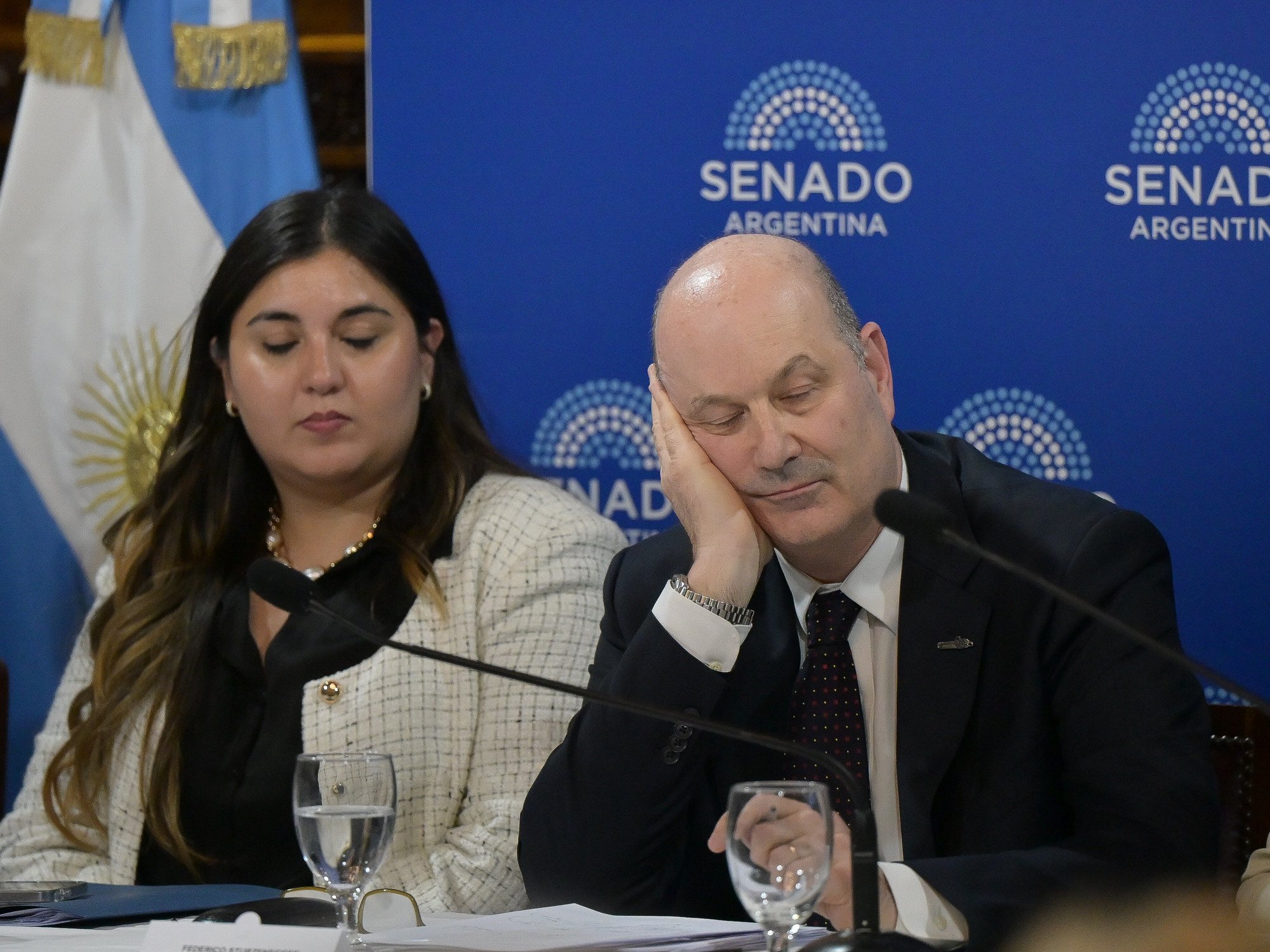 Sturzenegger defendió en el Senado los cambios a la ley de Sociedades: "Hay que atraer empresas como Apple"