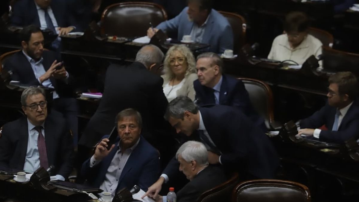 Diputados se presentaron en Casa Rosada reclamando la reapertura del ingreso a la prensa