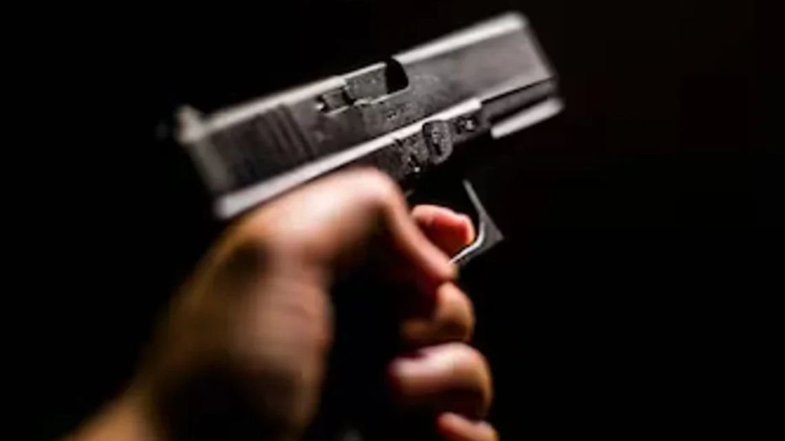 Javier Milei promulgó ley de regularización y entrega voluntaria de armas