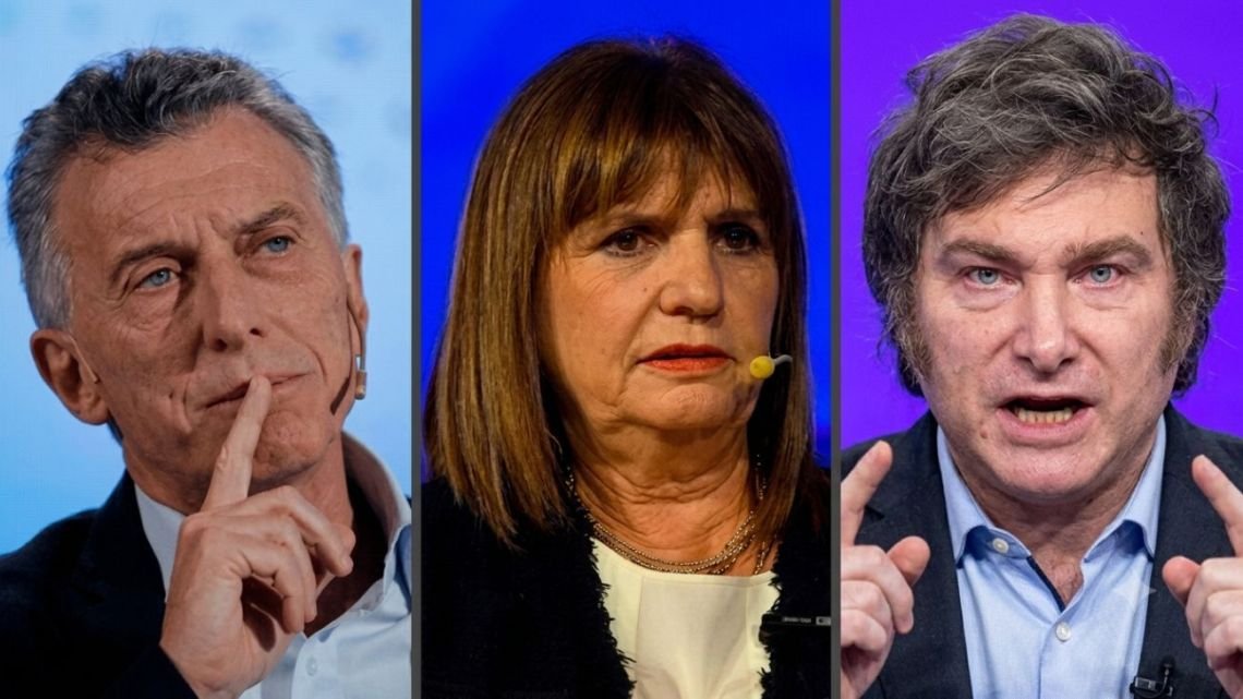 Tras la objeción de Bullrich, el PRO desafió a Milei por el pliego de Michelli: "Es potestad de los senadores, no del presidente"