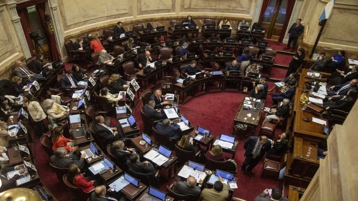 El Gobierno envió al Senado reformas a las leyes de Discapacidad y Salud Mental