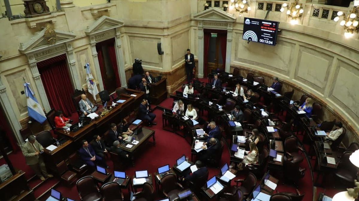 El Senado debate la reforma de la ley de Salud Mental: qué cambios incorpora